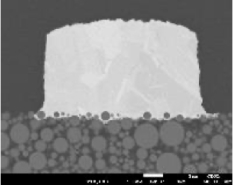 パターン形状例 No treatment